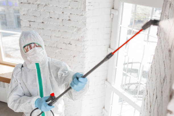 Best Post-Remediation Verification Testing  in Madison, IN