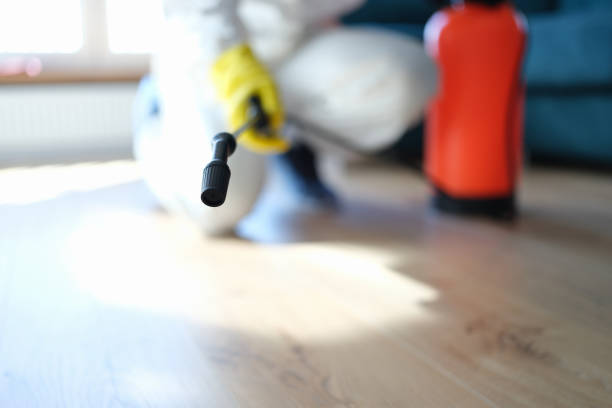 Best Mold Odor Removal Services  in Madison, IN